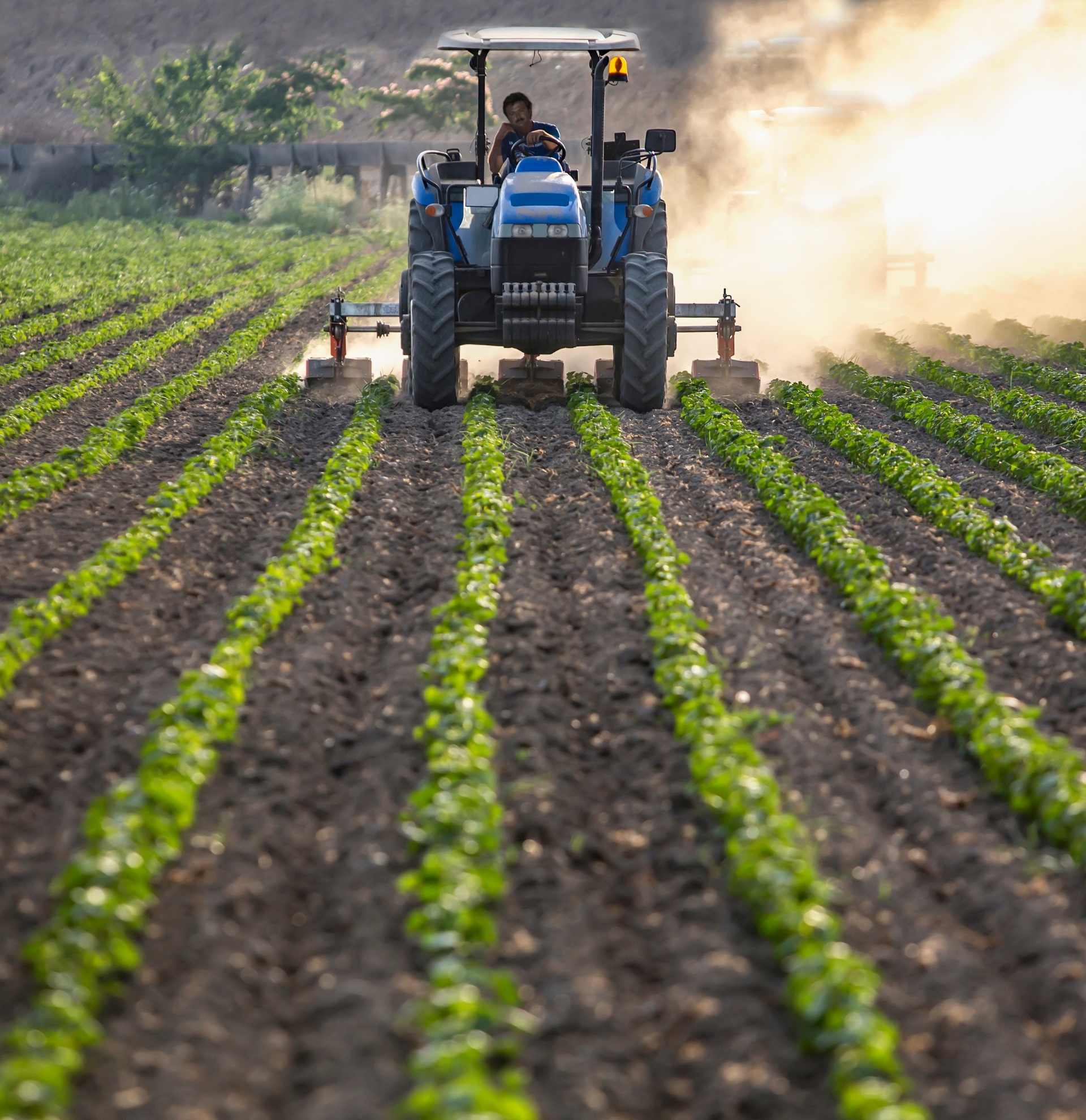 Tarım Arazisi Danışmanlığı